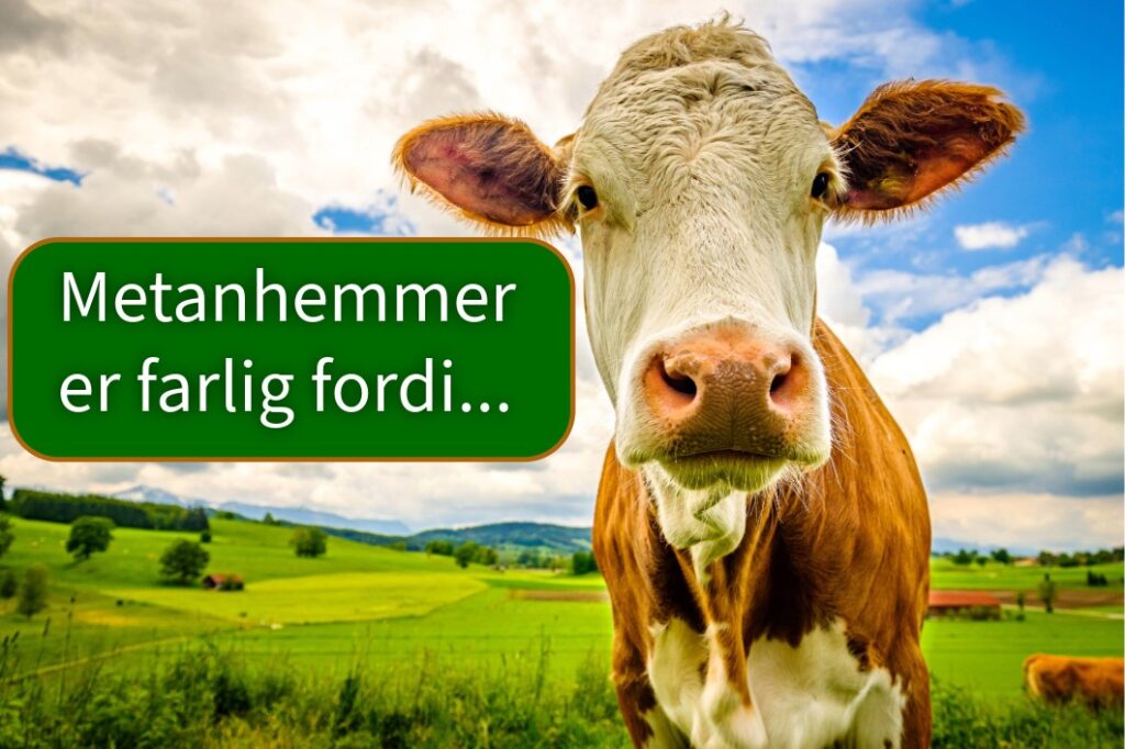 Metanhemmer er farlig fordi...